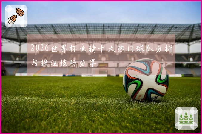 2026世界杯竞猜十大热门球队分析与投注技巧分享