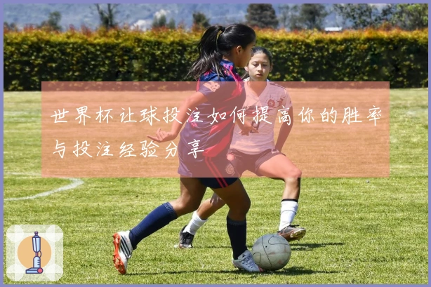 世界杯让球投注如何提高你的胜率与投注经验分享