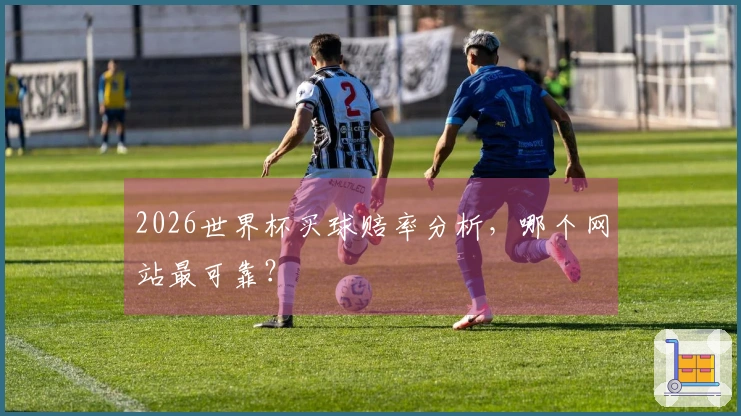 2026世界杯买球赔率分析，哪个网站最可靠？