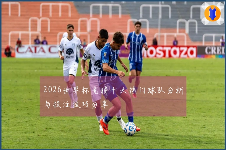 2026世界杯竞猜十大热门球队分析与投注技巧分享