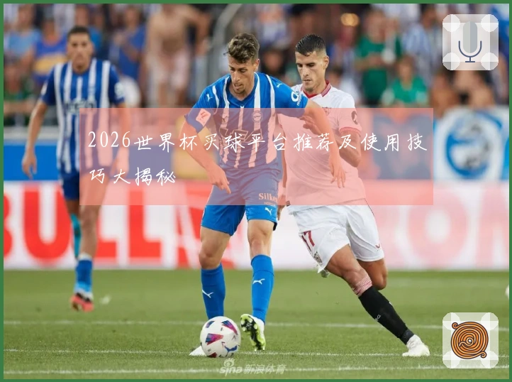2026世界杯买球平台推荐及使用技巧大揭秘