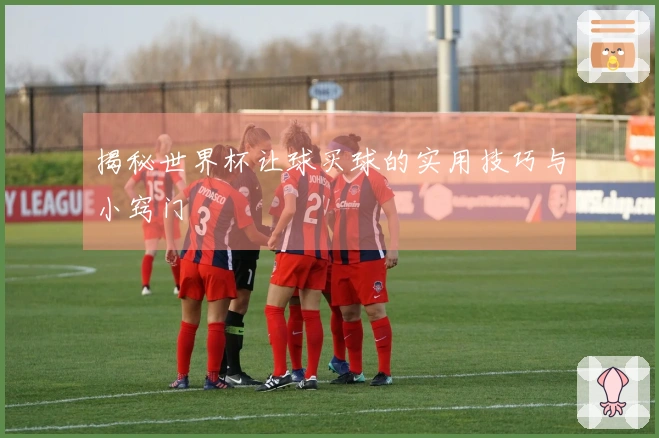 揭秘世界杯让球买球的实用技巧与小窍门