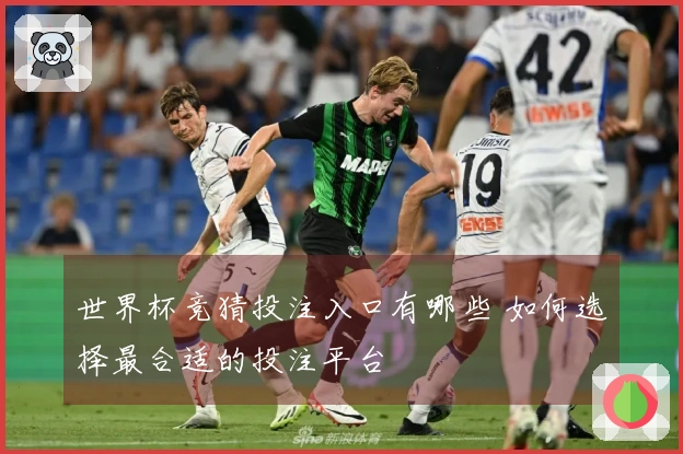 世界杯竞猜投注入口有哪些 如何选择最合适的投注平台
