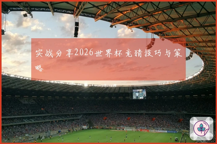 实战分享2026世界杯竞猜技巧与策略