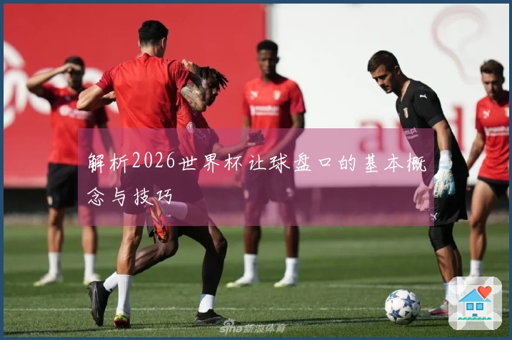 解析2026世界杯让球盘口的基本概念与技巧